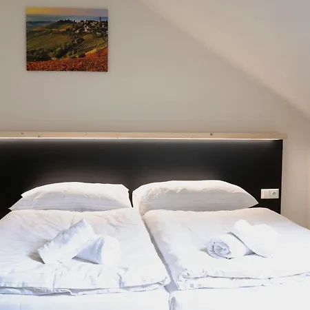 Penzion&pizzerie U Massima Pensjonat 3*