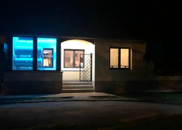 Penzion&pizzerie U Massima 3* Vyškov