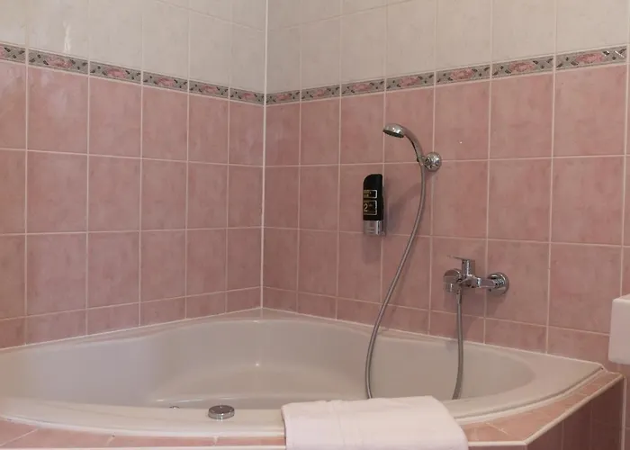 بيت ضيافة Penzion&pizzerie U Massima 3*