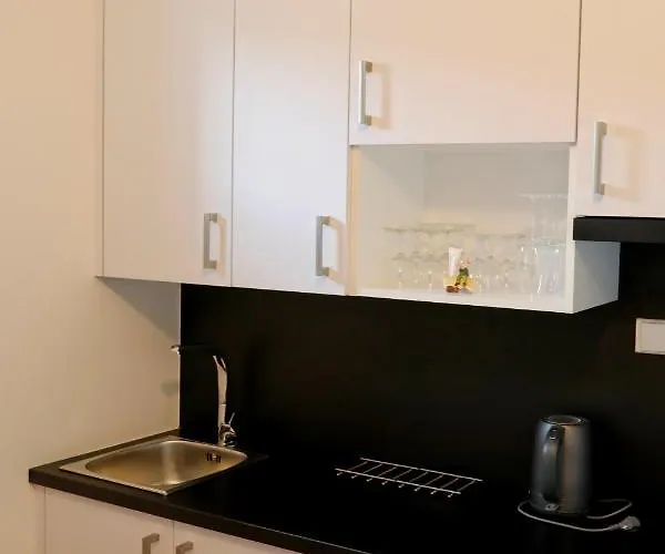 بيت ضيافة Penzion&pizzerie U Massima 3*